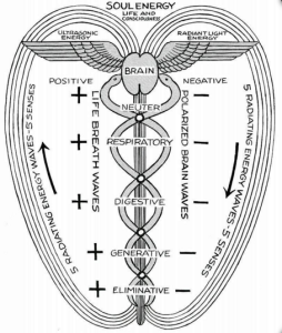 LifeEnergy Diagram