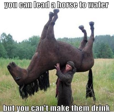 horsewater